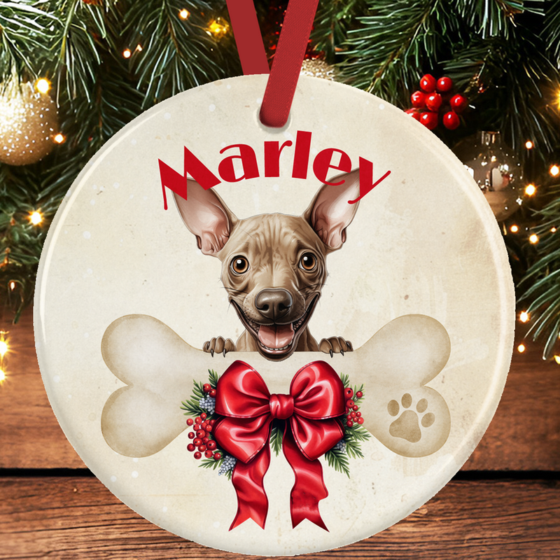 American Hairless Terrier Christmas Ornament