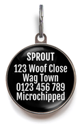 Jack Russell Breed Dog ID Tag