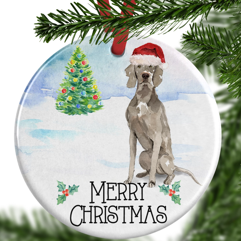 Christmas weimaraner 2024